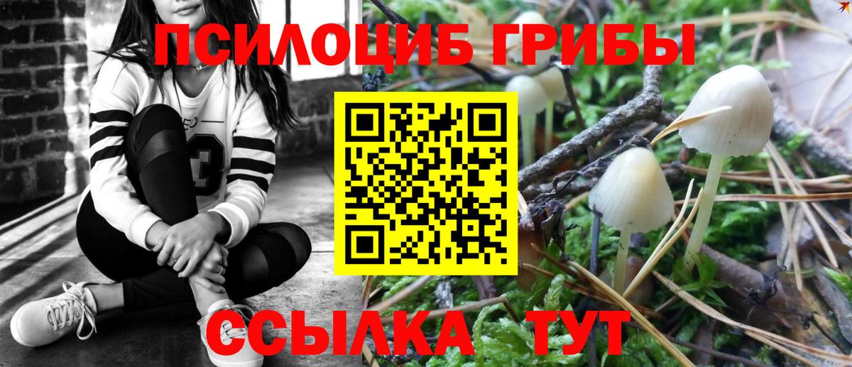 Галлюциногенные грибы Psilocybine cubensis Александров
