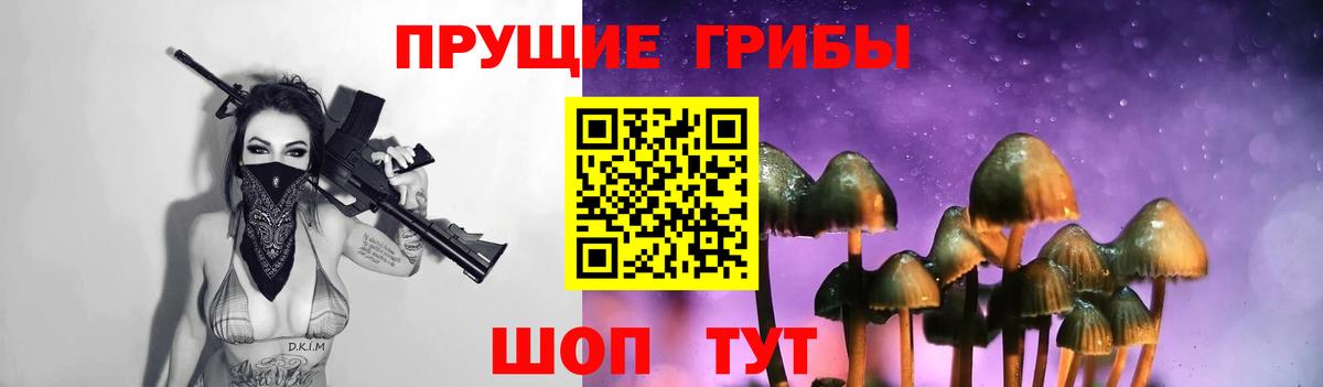 Галлюциногенные грибы ЛСД  Вход с VPN  Александров 